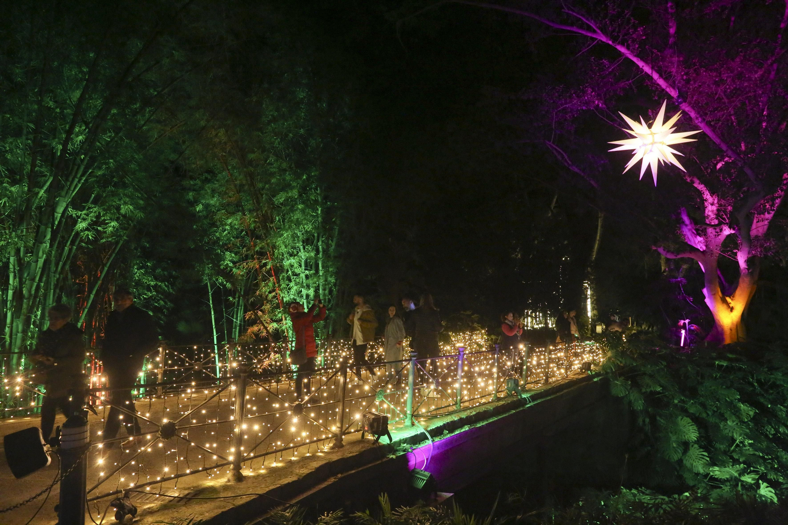 Las luces del Jardín Botánico de Málaga esta Navidad, en fotos