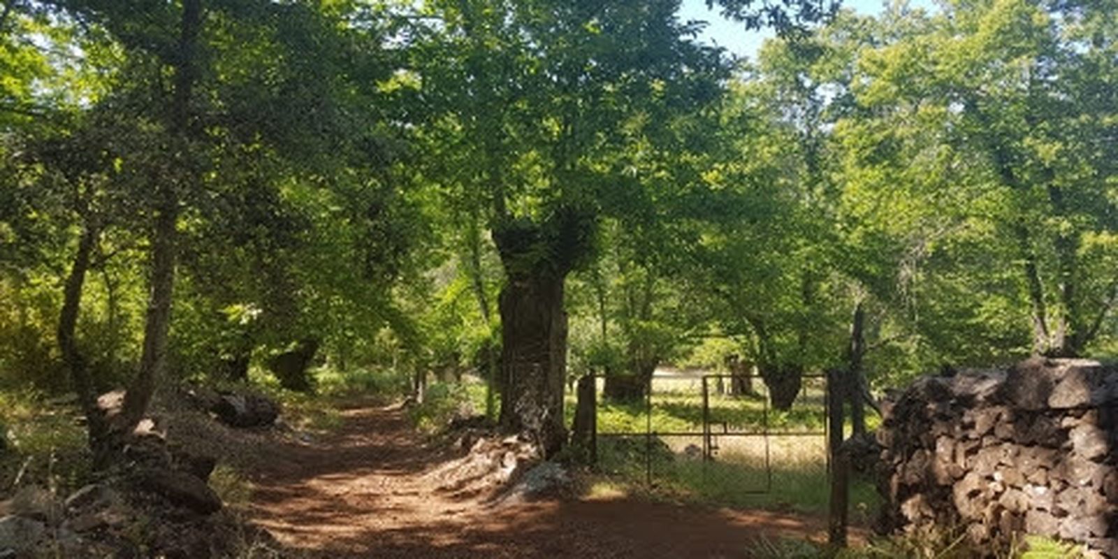 La Junta invertirá 176.000 euros en acondicionar la red de senderos de uso deportivo de Huelva