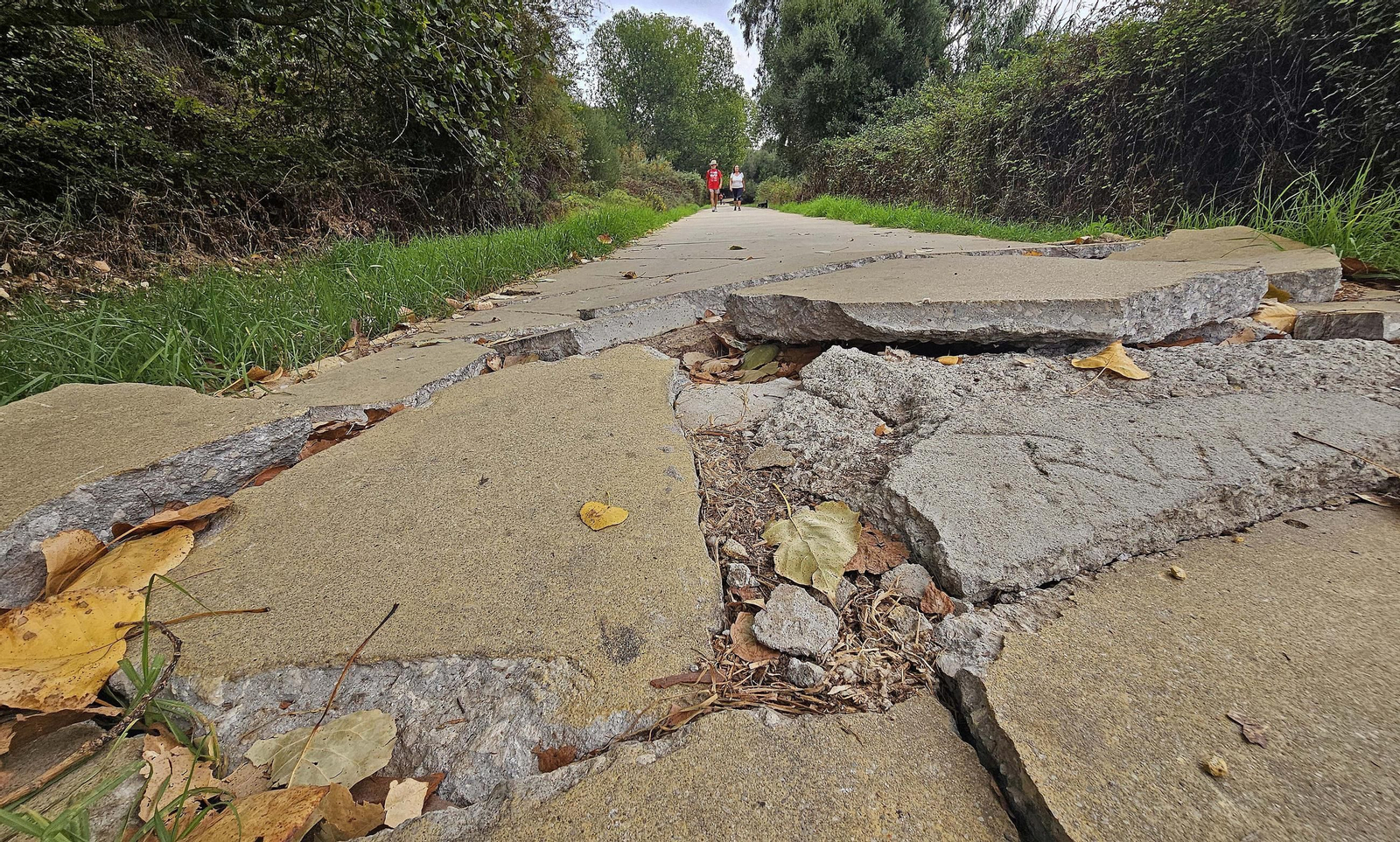Fotos de los desperfectos en las barriadas de Getares en Algeciras