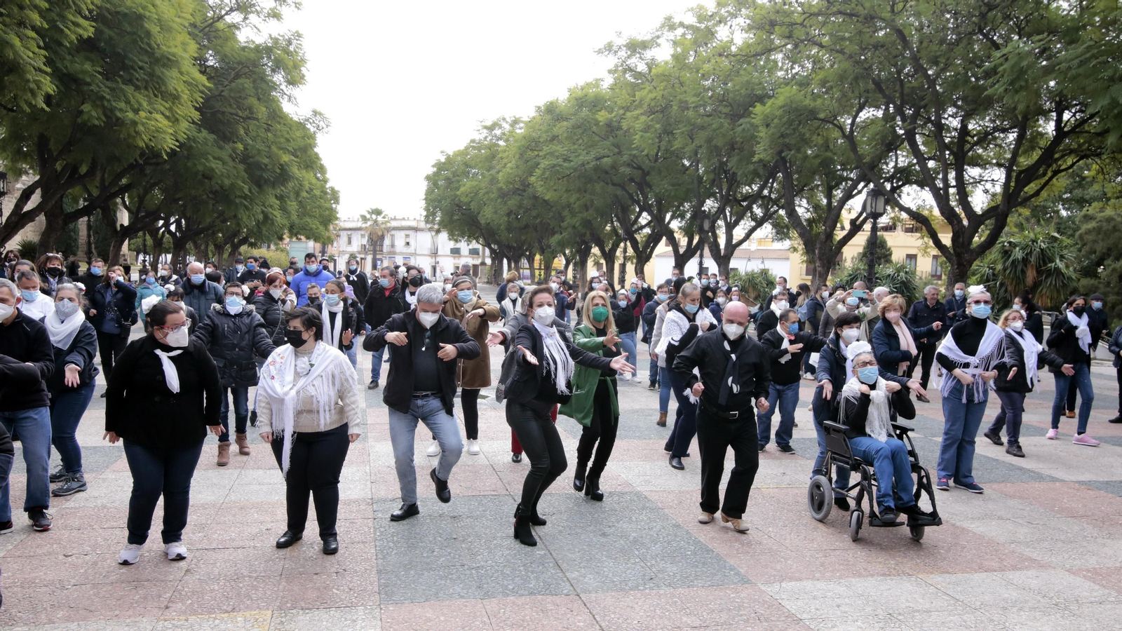 Las mejores imágenes del Flashmob flamenco de Afanas