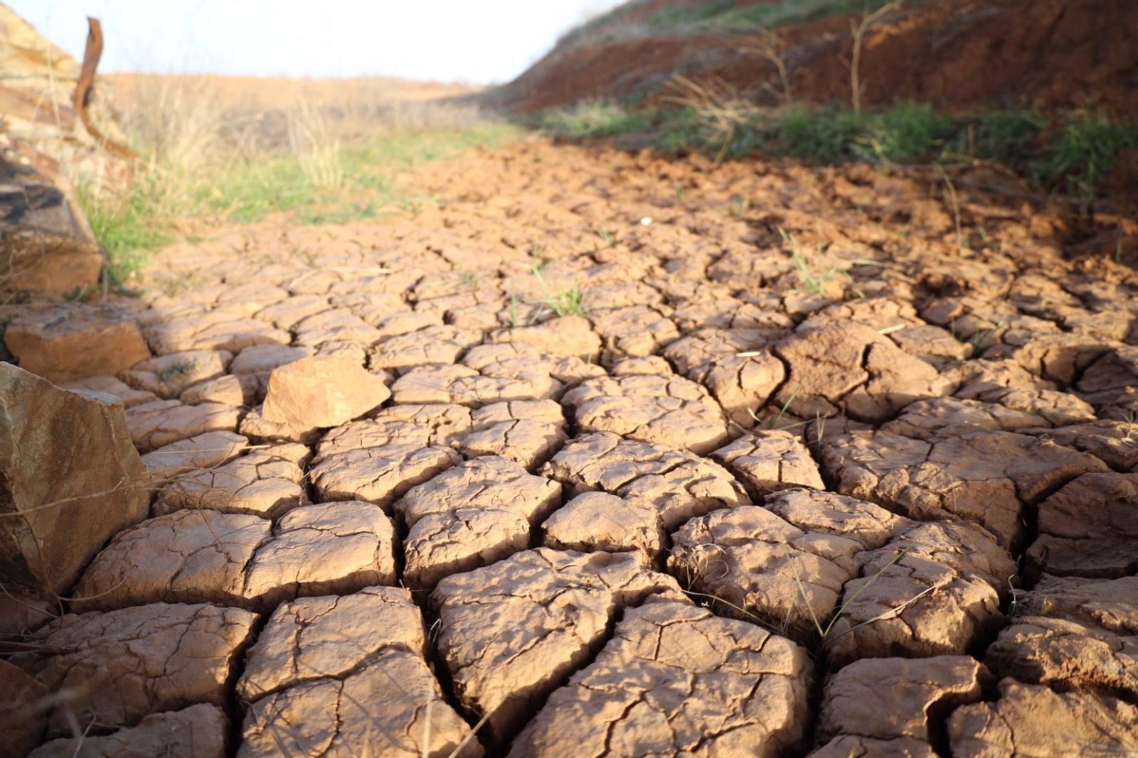 Terreno afectado por la ausencia de lluvias.