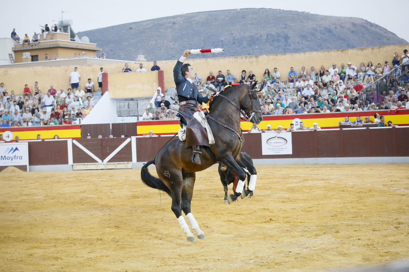 Corrida de toros Berja con un toro indultado, en imágenes
