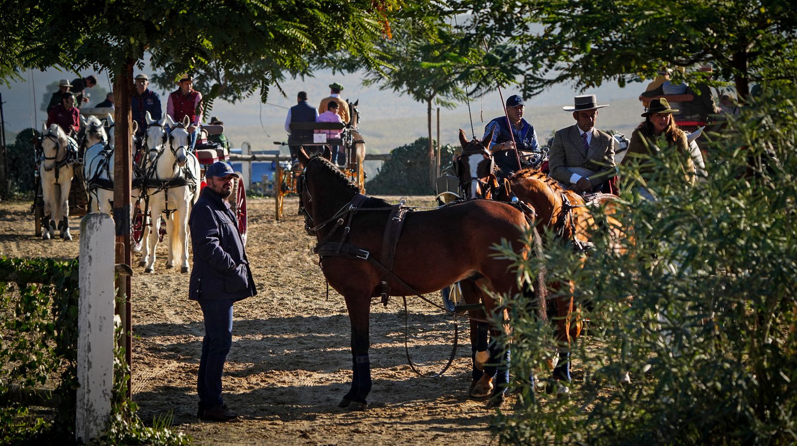 I Ruta de Carruajes Viñas de Jerez