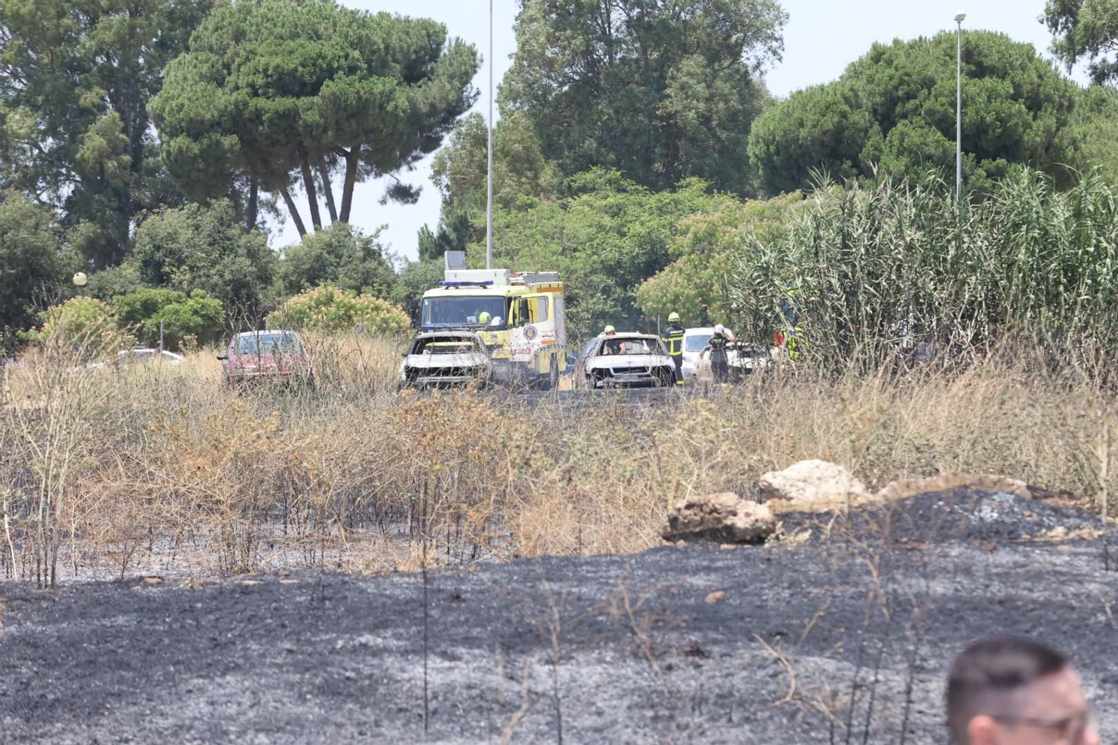 Incendio de pastos junto a la avenida de Espera en Jerez