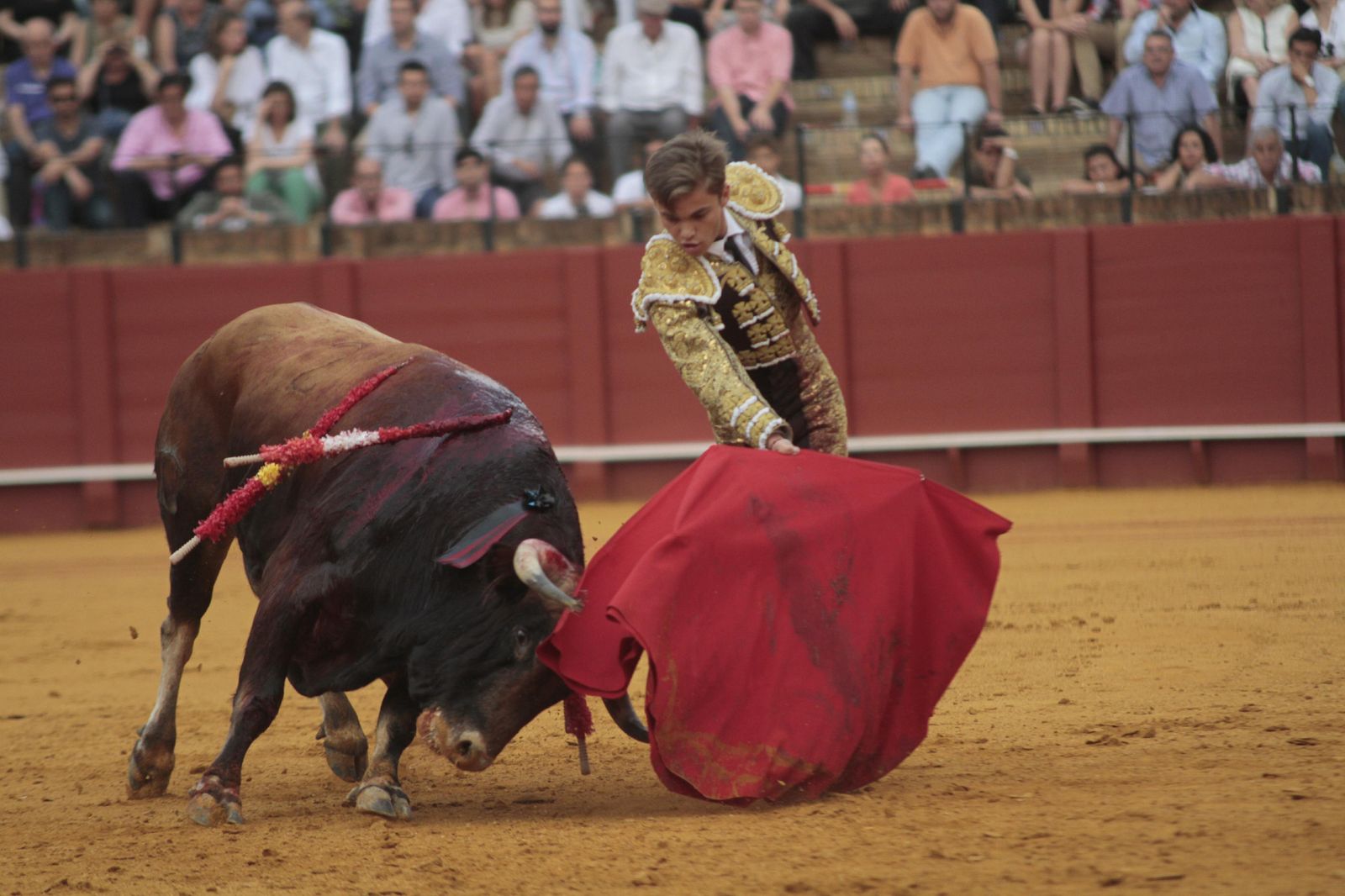Las imágenes de la decimosexta de abono de La Maestranza