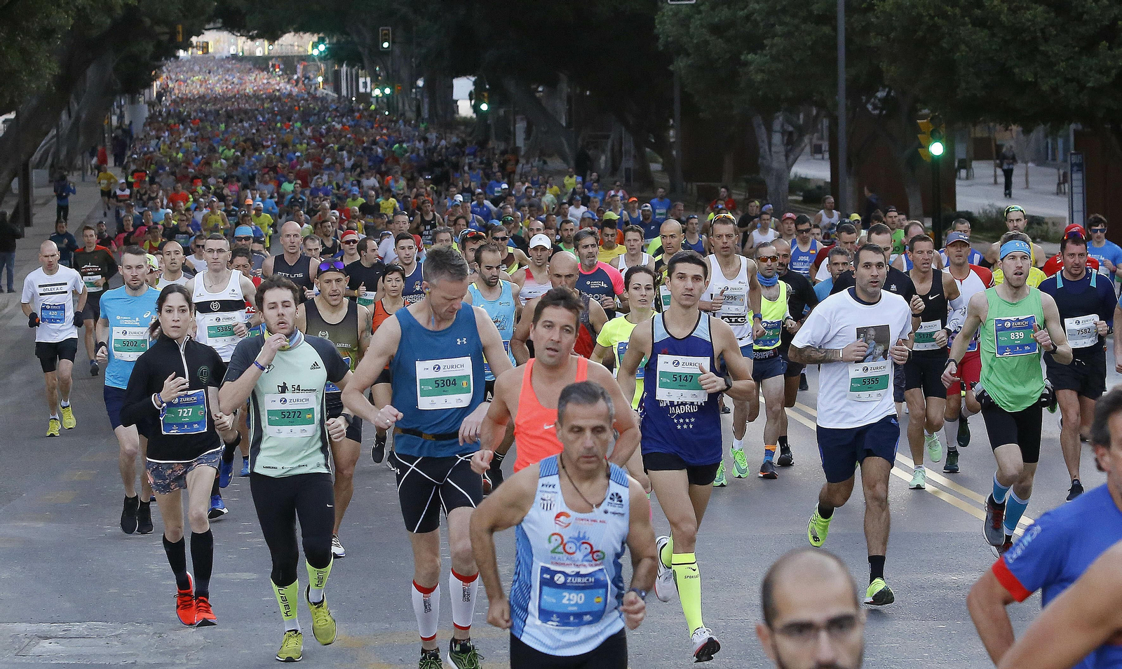 Las fotos del Maratón de Málaga 2019