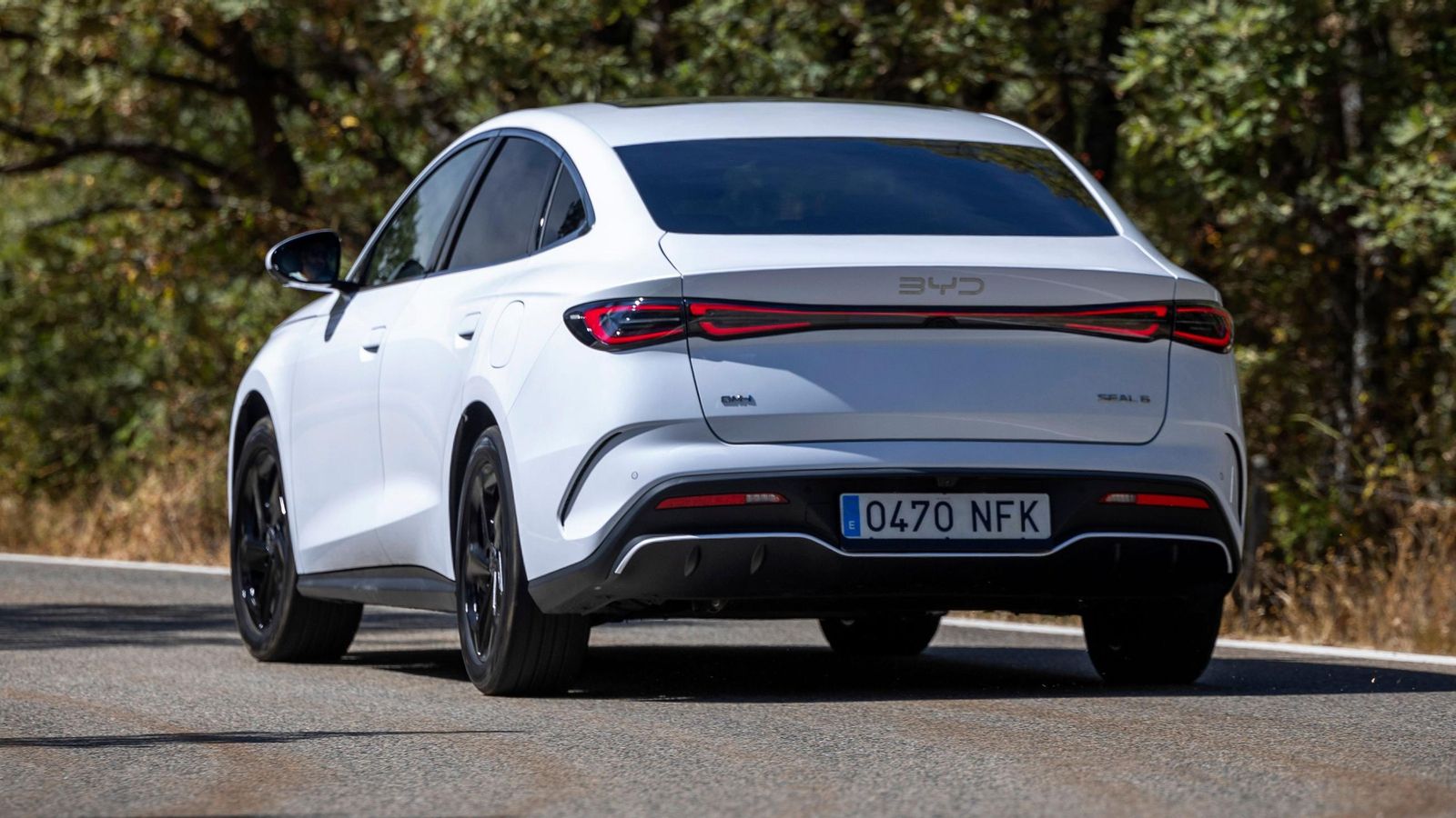 El Seal 6 sedán apenas cuenta con rivales de su tamaño con los que medirse. El precio, por otro lado, juega a su favor, frente a ellos.