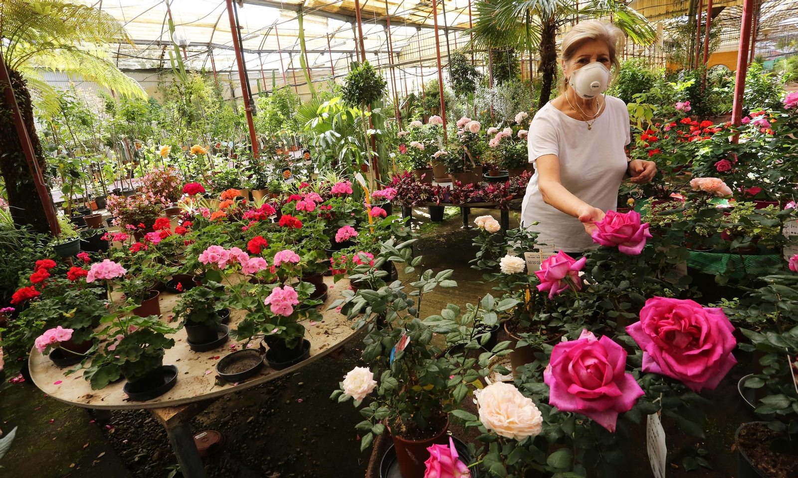 Una empleada rodeada de flores en Viveros Olmedo.