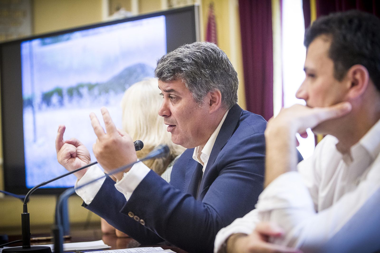 El portavoz del PP, Ignacio Romaní, interviene en una rueda de prensa.