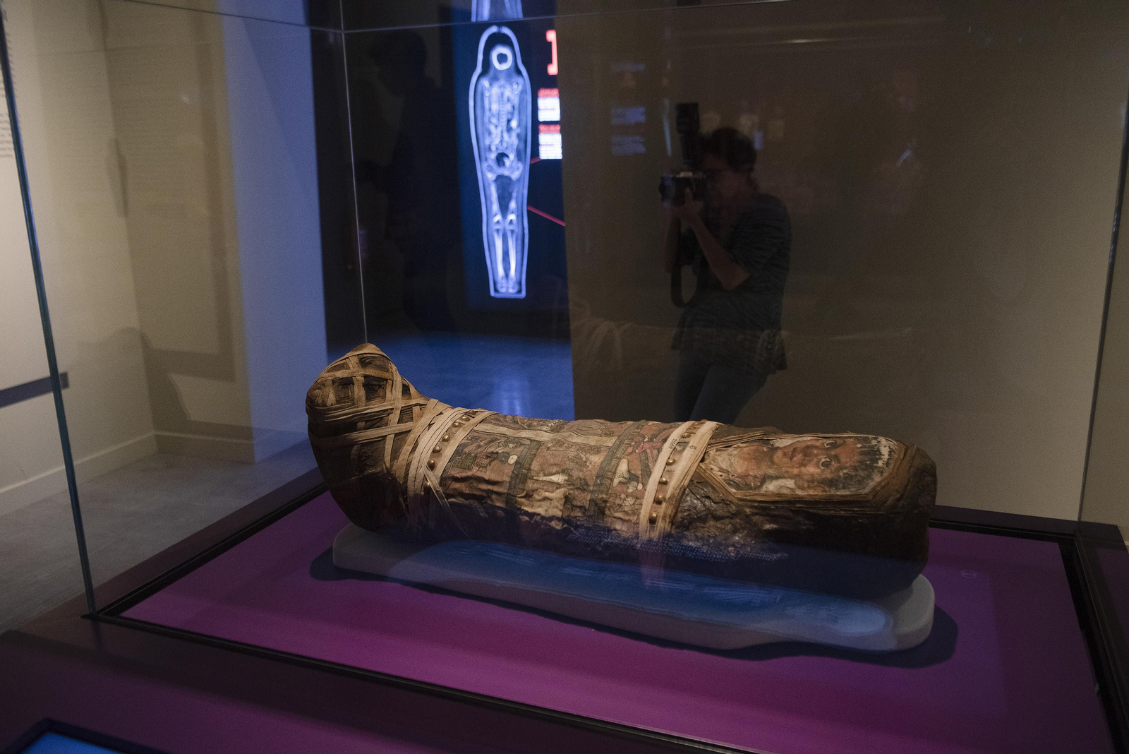 La  Inauguración de la exposición Momias de Egipto, en imágenes