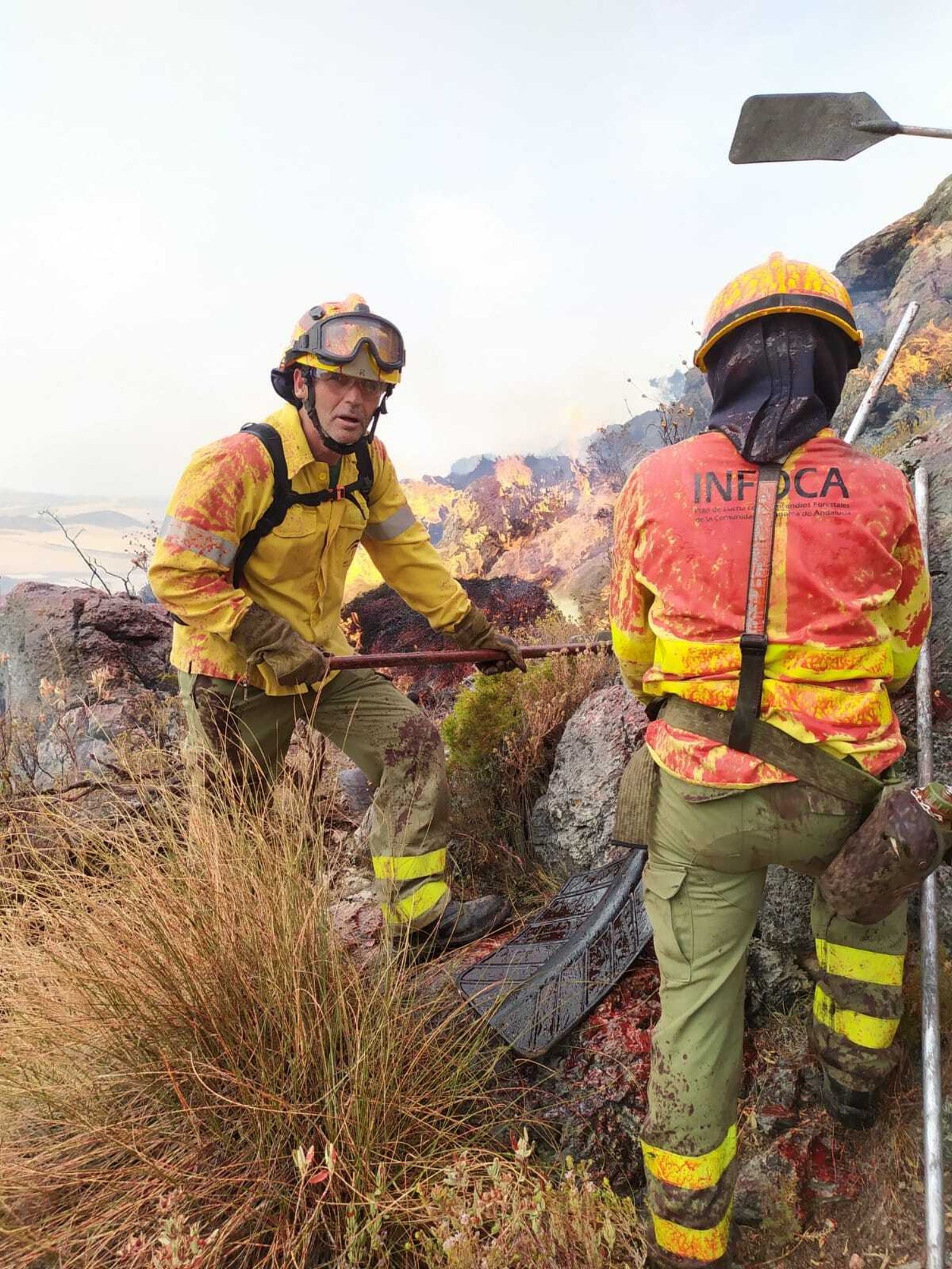 Efectivos del Plan Infoca en el incendio de Jubrique.