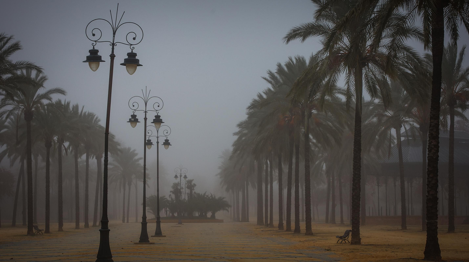 Densa niebla en Jerez