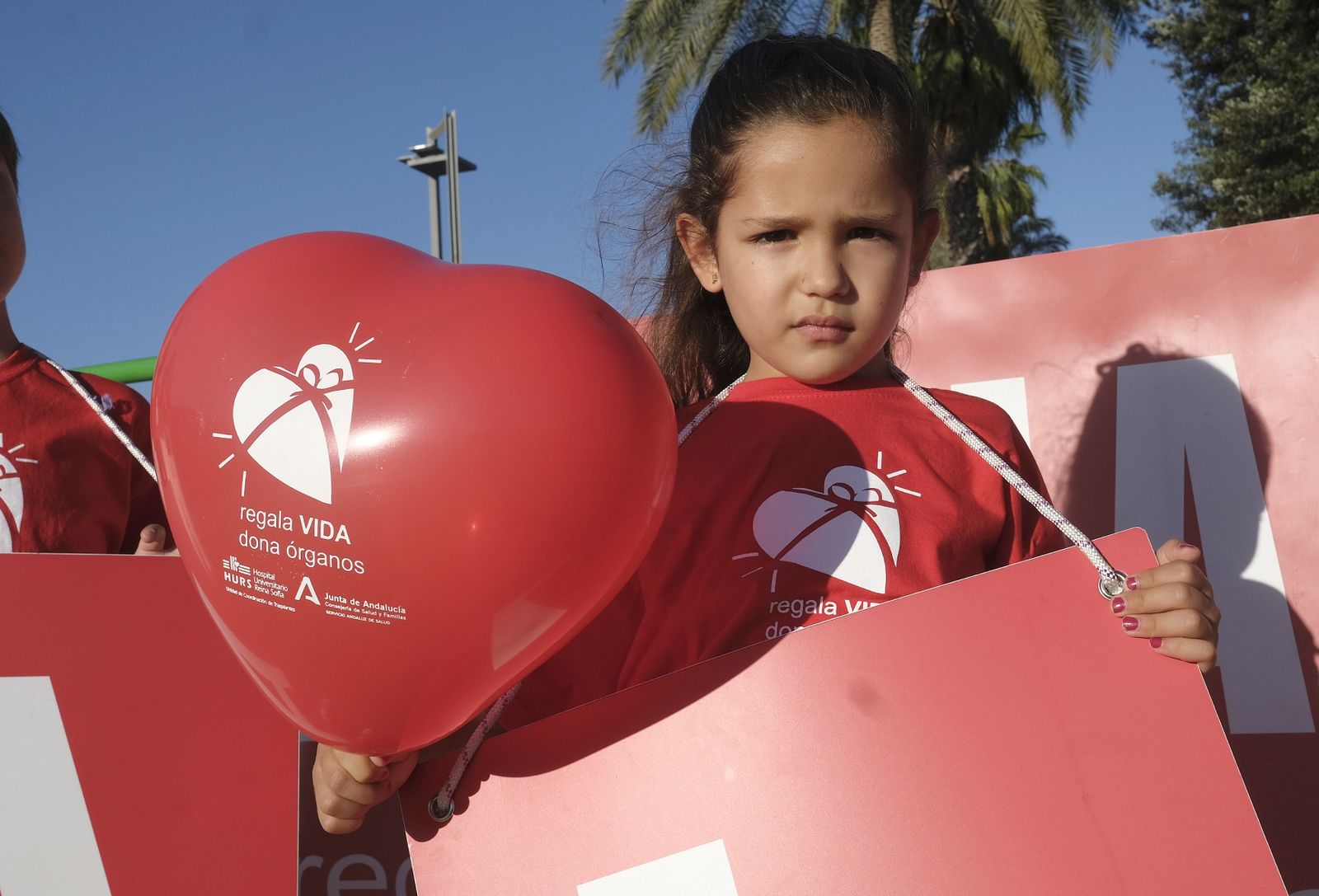 La Marcha por la Donación de Órganos de Córdoba, en imágenes