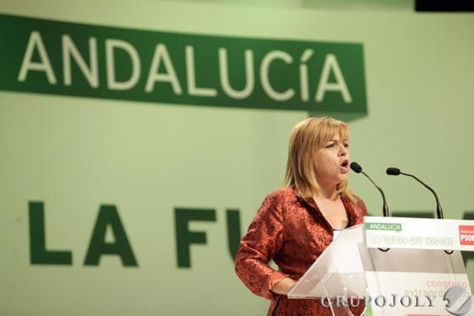 Elena Valenciano se dirige a sus compañeros.

Foto: L. Rivas