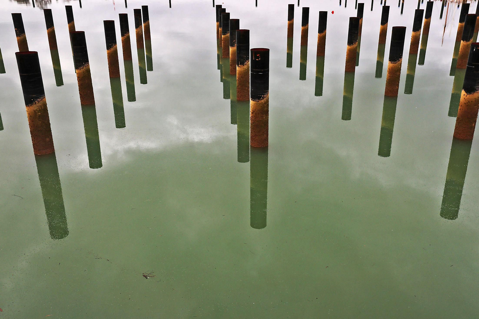 Las imágenes más destacadas del viernes 28 de febrero en Huelva
