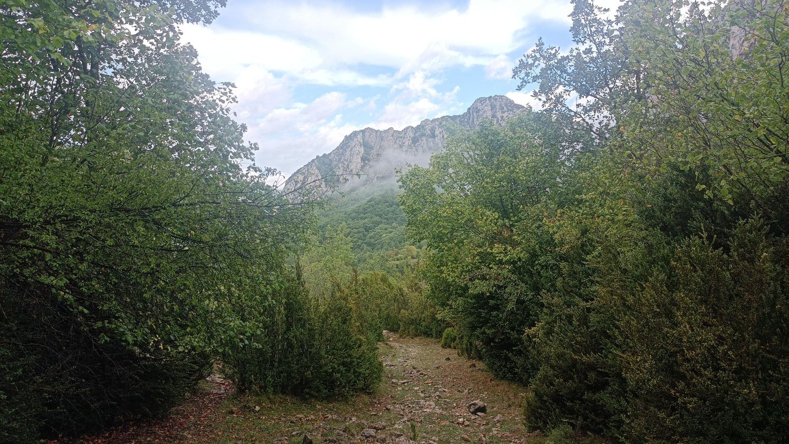 Bajando desde el Bosque de Pegá.