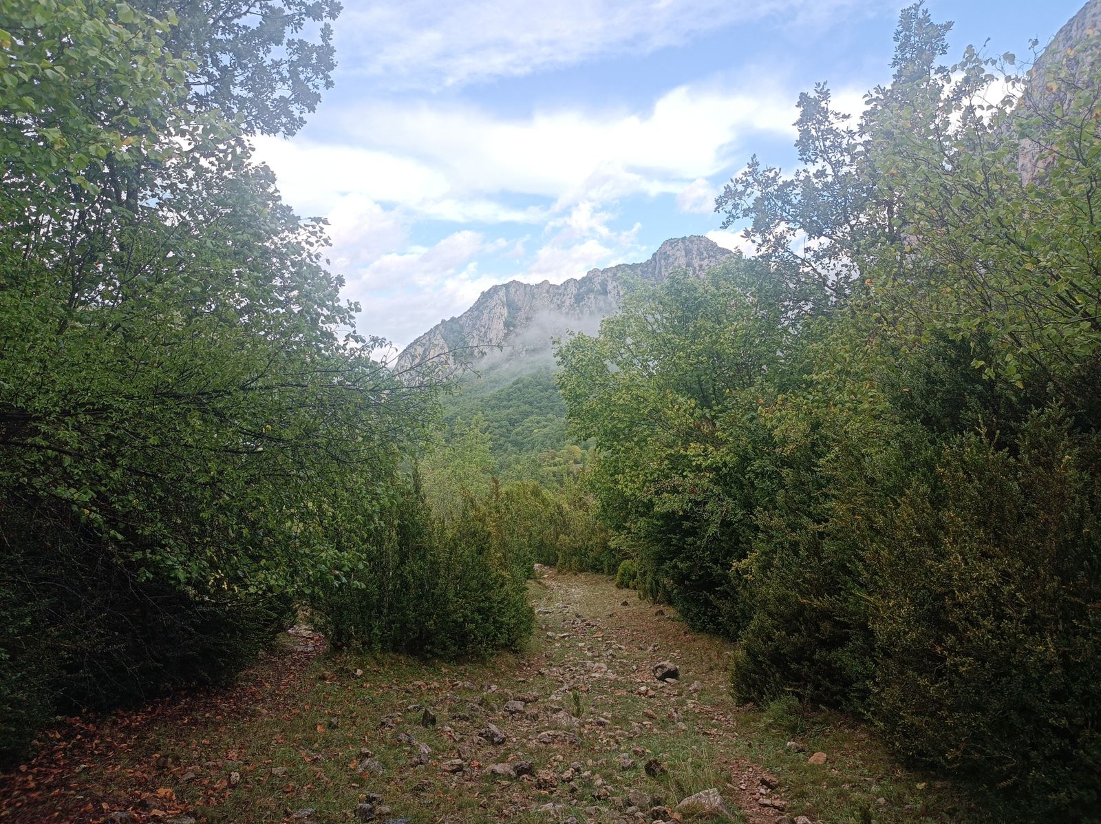 Bajando desde el Bosque de Pegá.