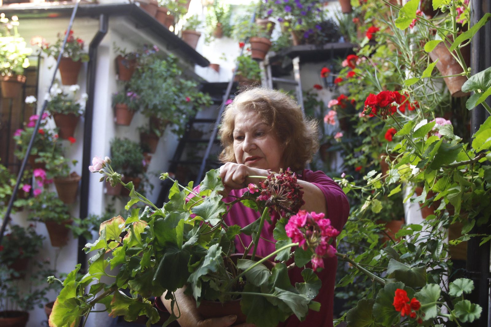 Las fotos de los patios en tiempos de crisis