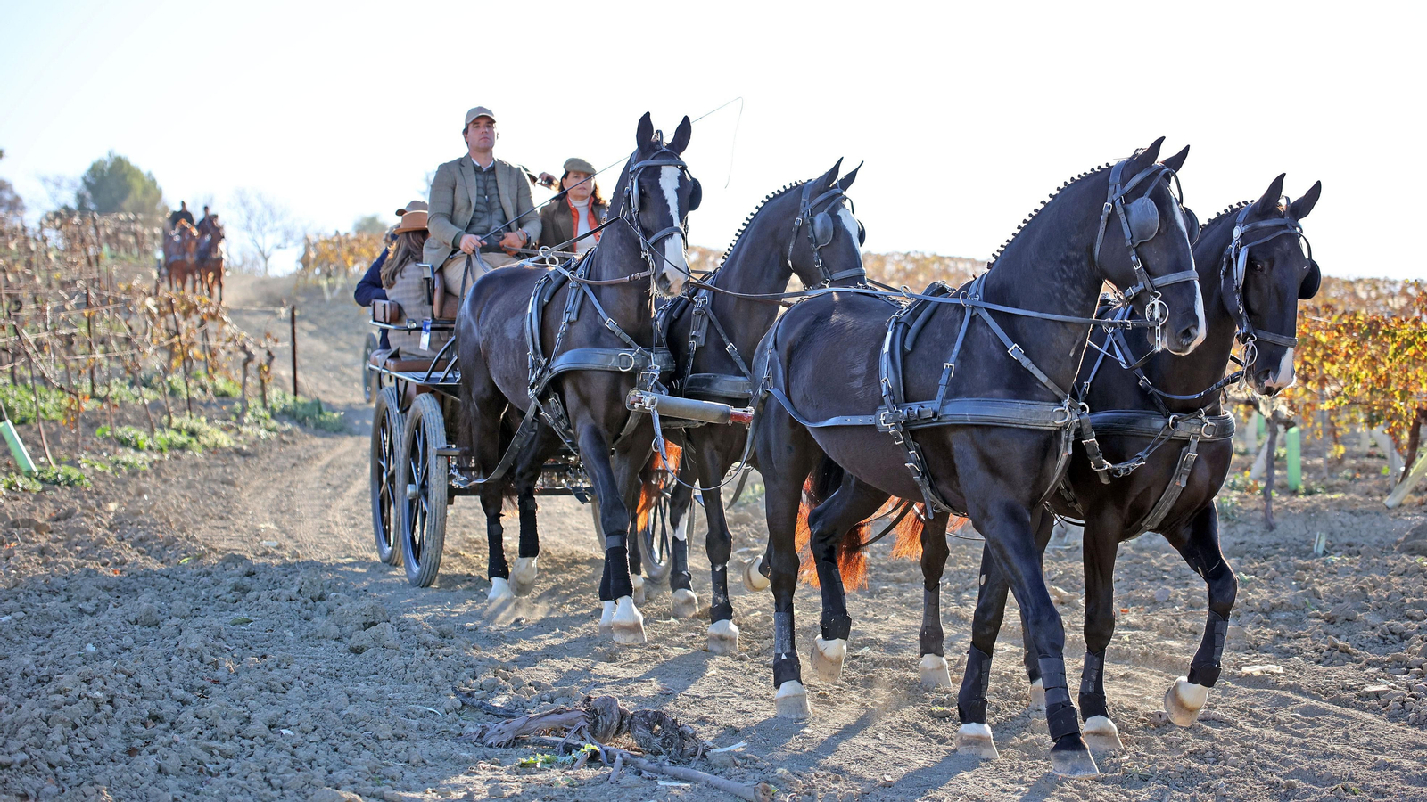 II Ruta Viñas de Jerez