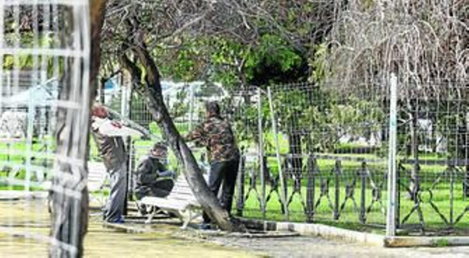 Un grupo de operarios procedía en la mañana de ayer a vallar los jardines de la plaza de España, para protegerlos durante el Carnaval.