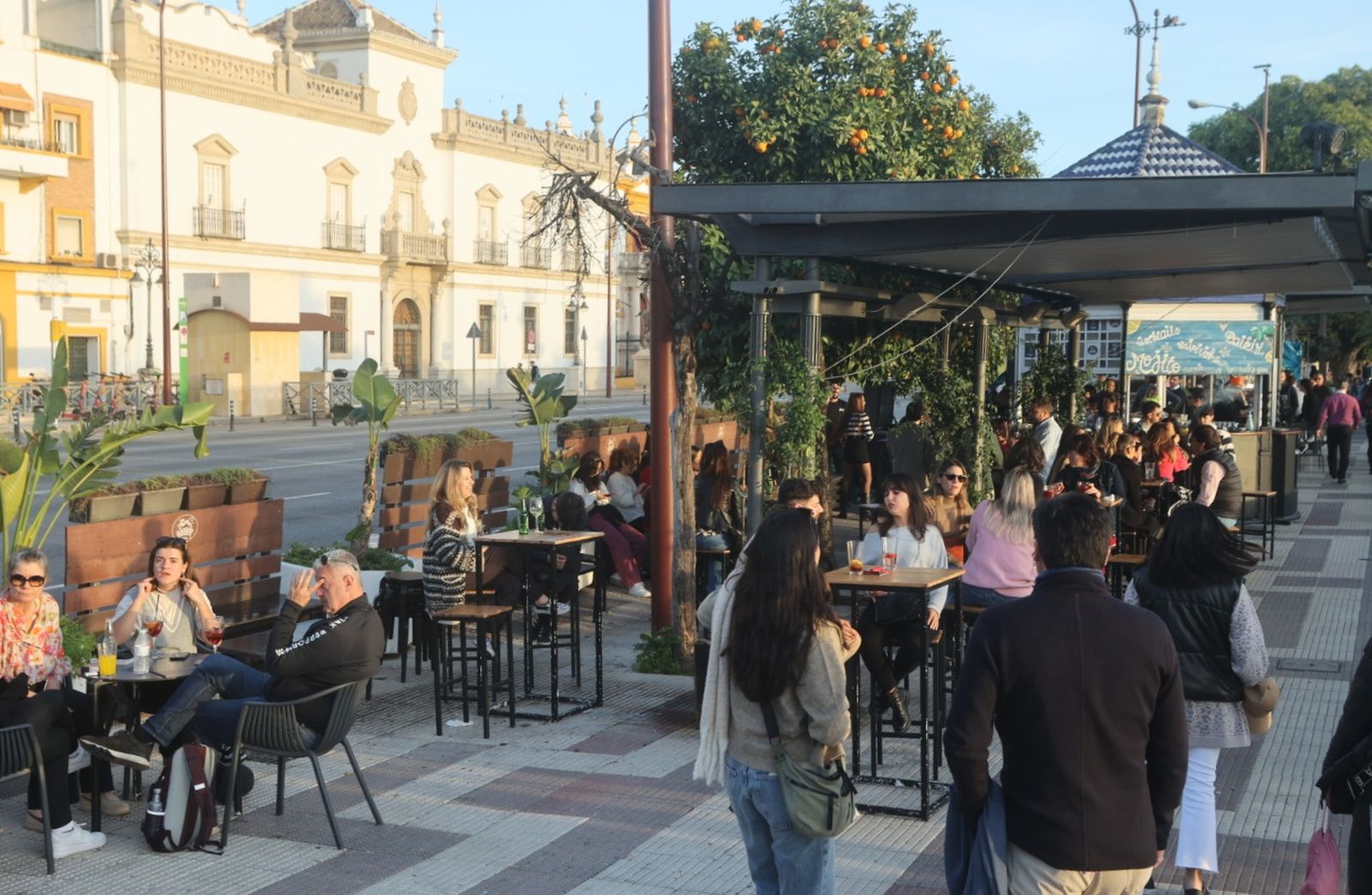 Navidades en mangas de camisa