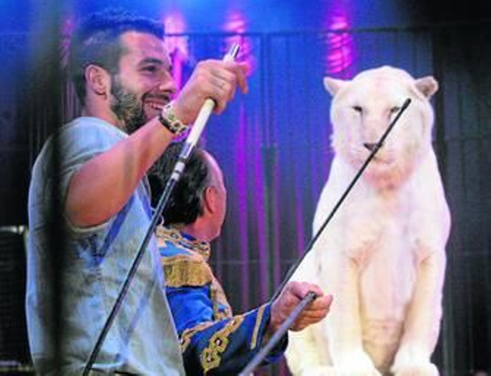 1. Negredo, en la jaula de los tigres durante su participación solidaria en la gala benéfica Ídolos solidarios, que organizó ayer el Gran Circo Mundial junto a Cáritas y en la que también participaron Botía y Javi Hervás prestándose a varios números. 2. Beto, a la salida del circo junto a su mujer. 3. José María del Nido, durante la entrega de los Premios Fundación Sevilla FC.