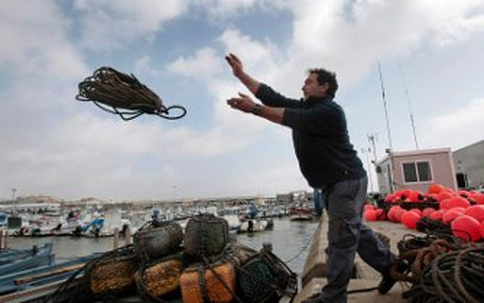 Esperando al gran cimarrón