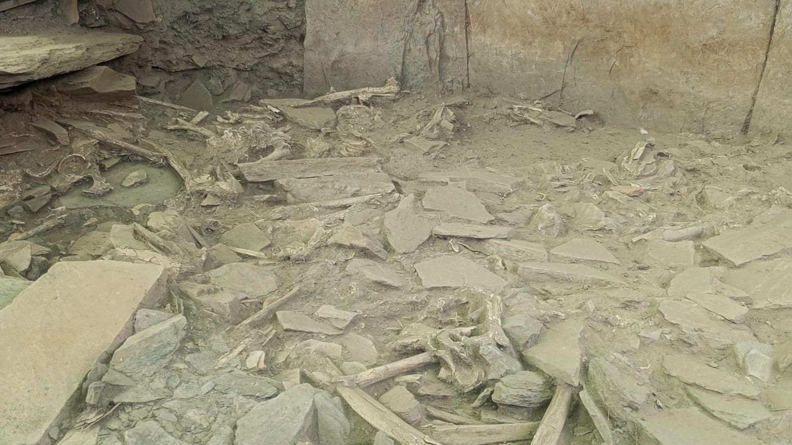 Restos encontrados en el yacimiento.