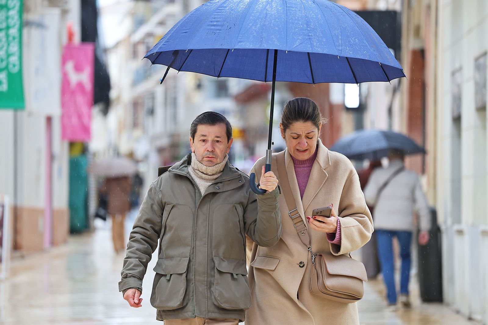 Las calles de la ciudad se inundan de paraguas en la invernal mañana de sábado