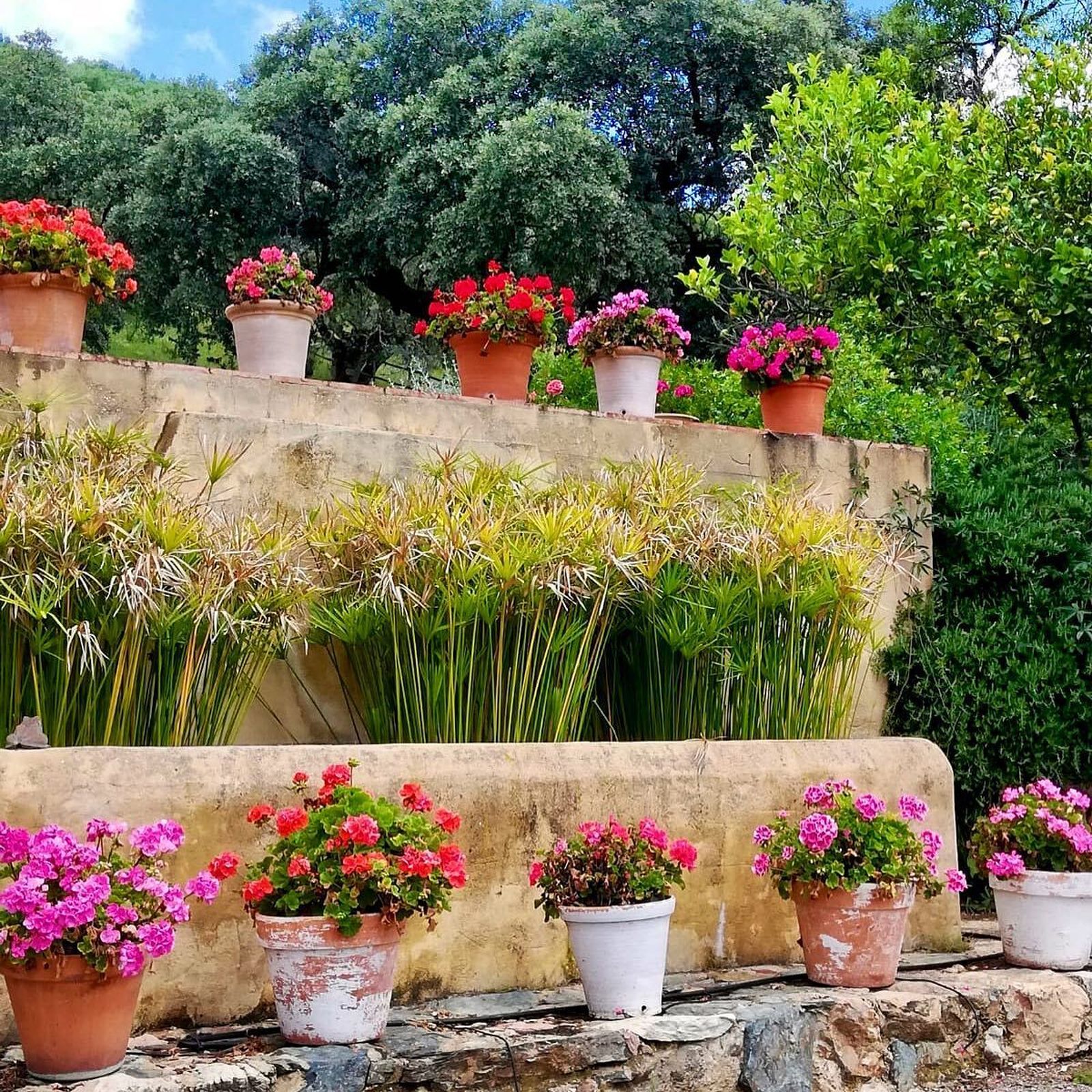 La casa de revista que evoca a la Toscana italiana, se alquila y está en este pueblo de Huelva