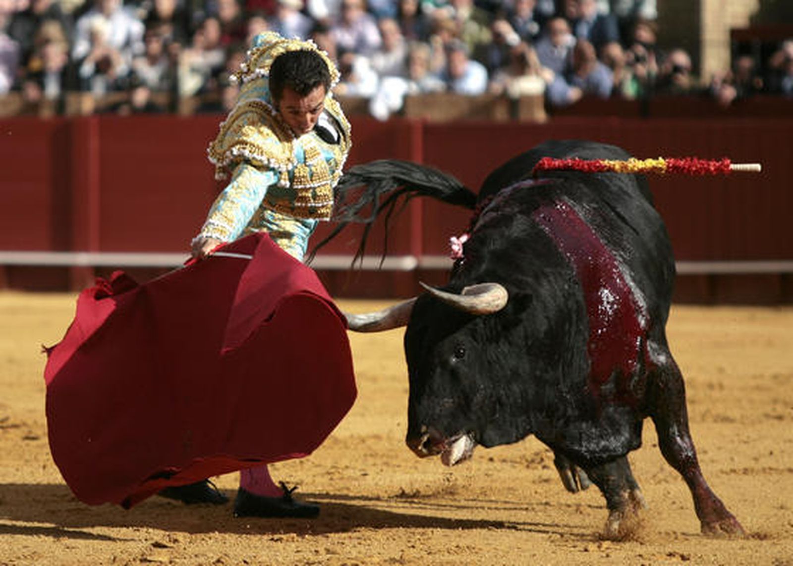 El Fandi./ Juan Carlos Muñoz