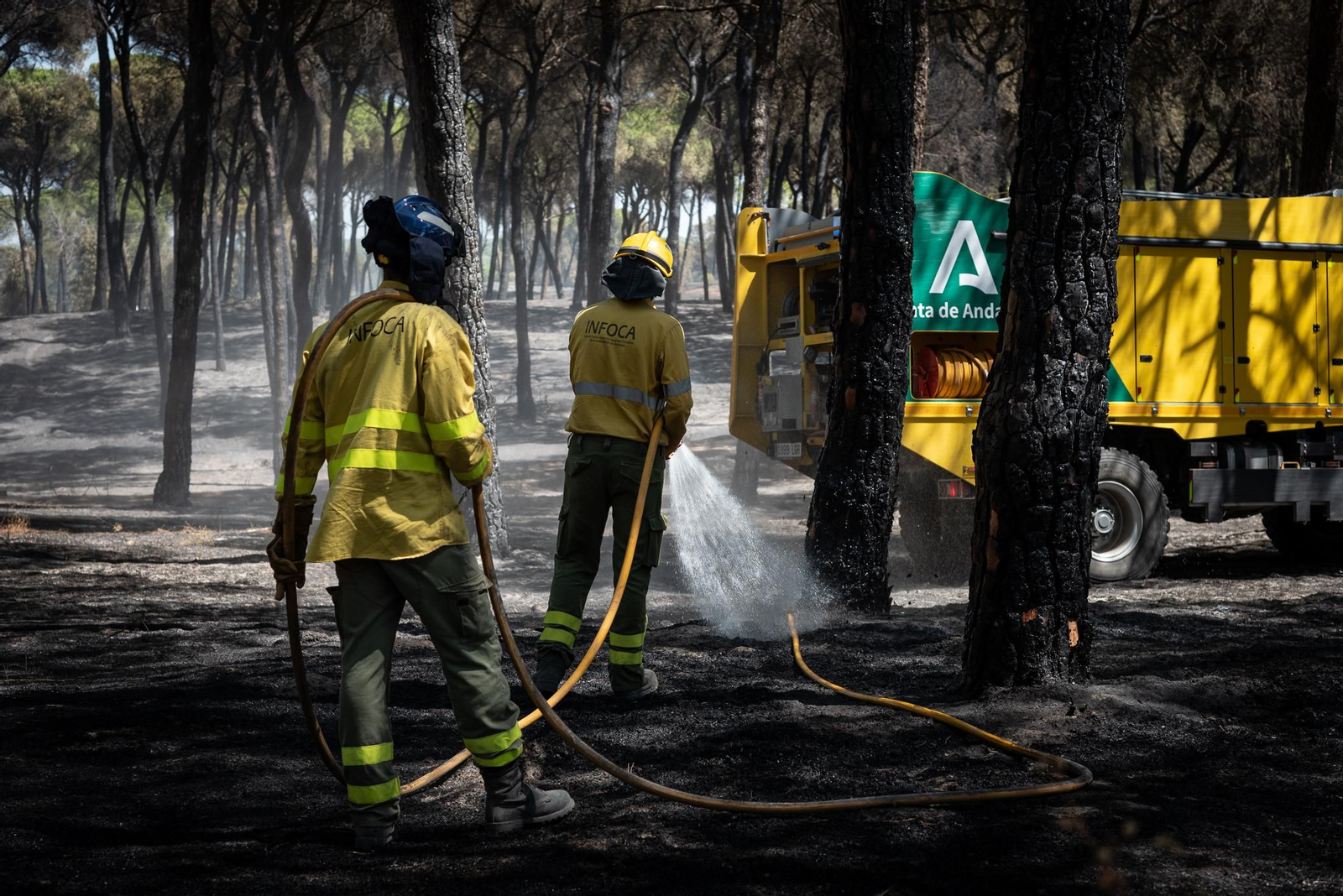 Imágenes de las labores de extinción del incendio de Bonares