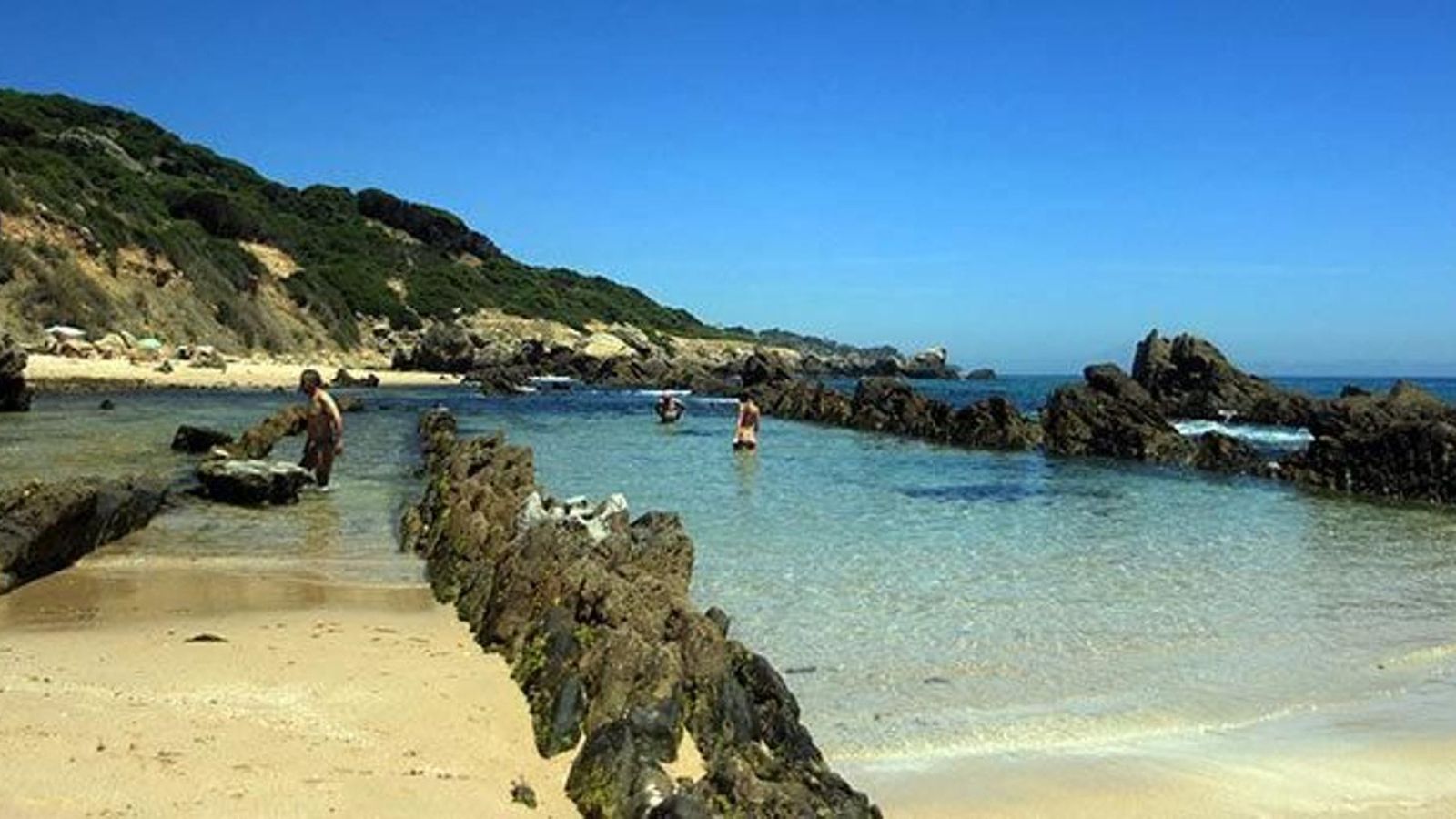 Piscina natural en Bolonia Piscina natural en Bolonia