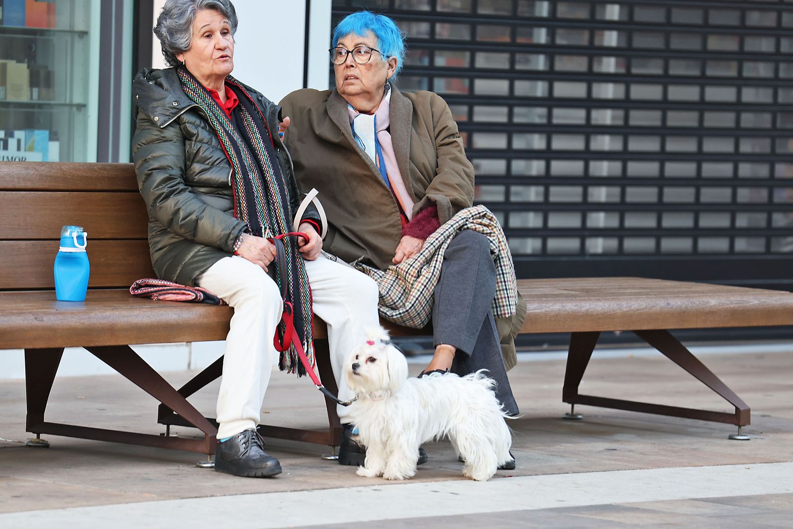 Las imágenes más destacadas del lunes 6 de enero en Huelva