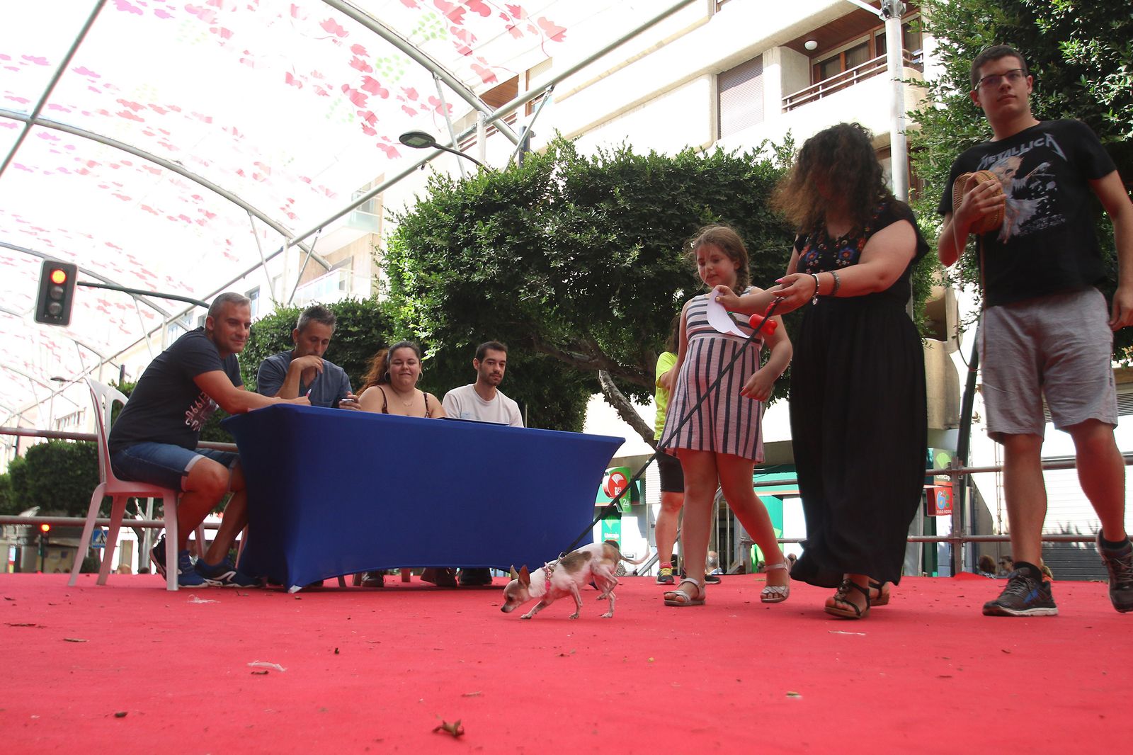 Fotogalería del concurso canino. Feria de Almería 2019