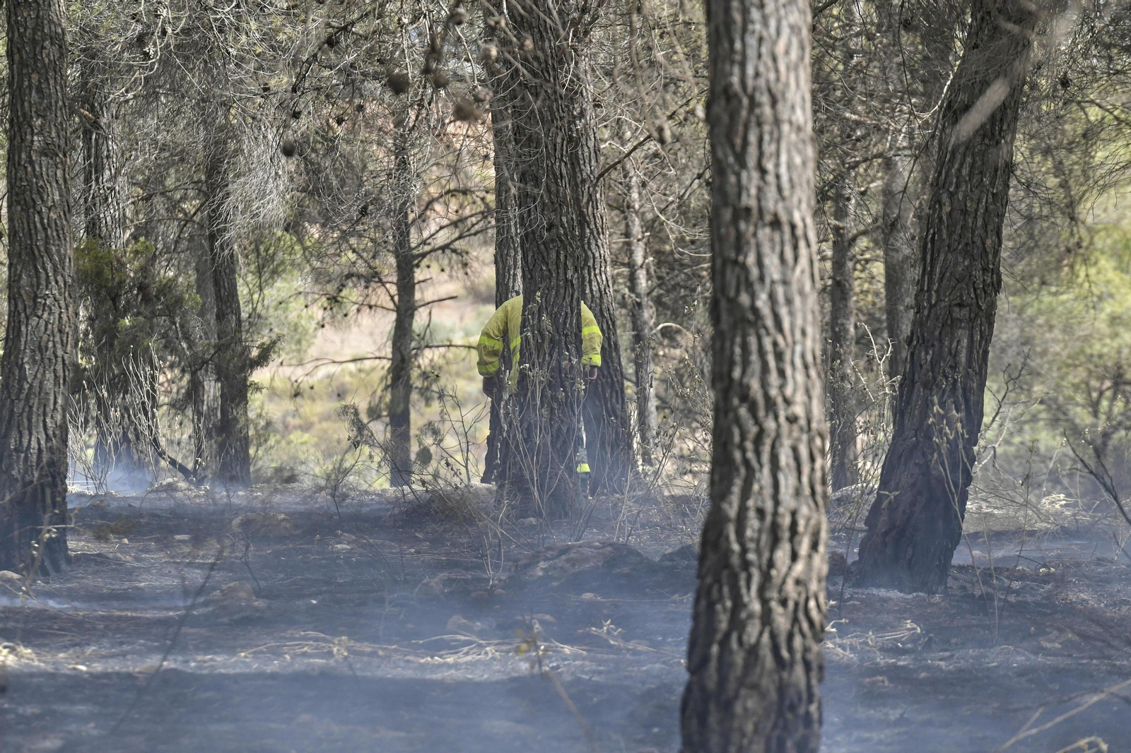 Las imágenes del incendio de Granada que causa terror en la provincia