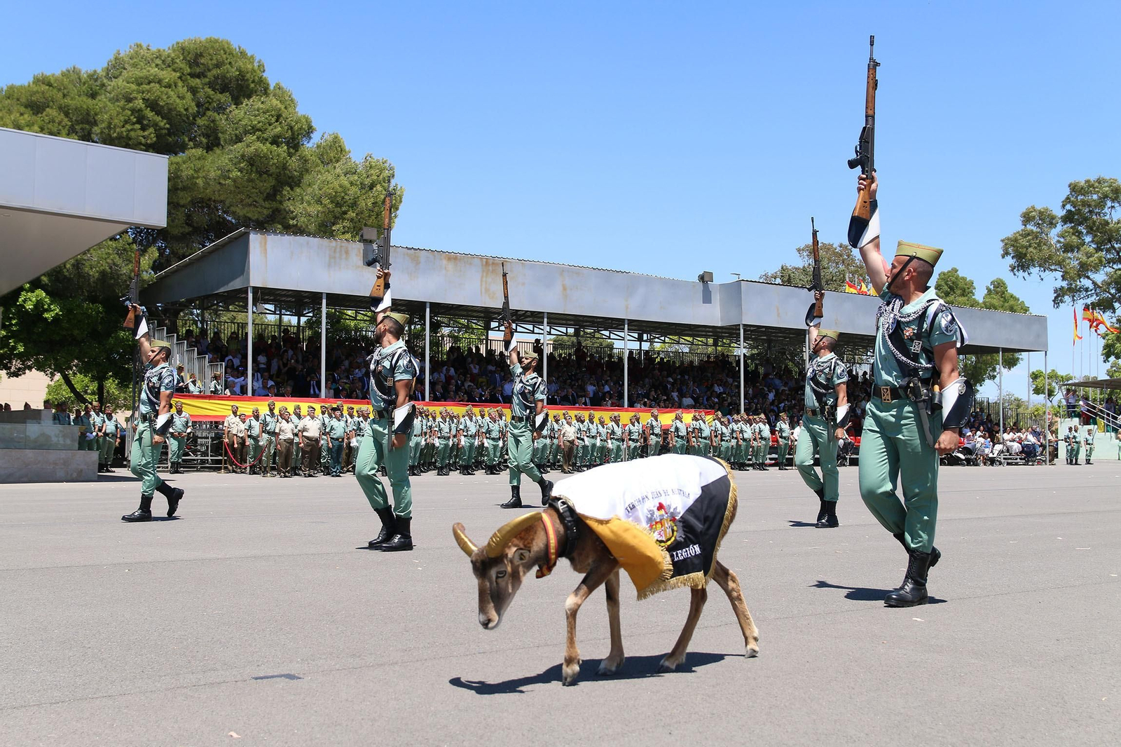 Fotogalería del desfile del Sábado Legionario DIFAS 2022