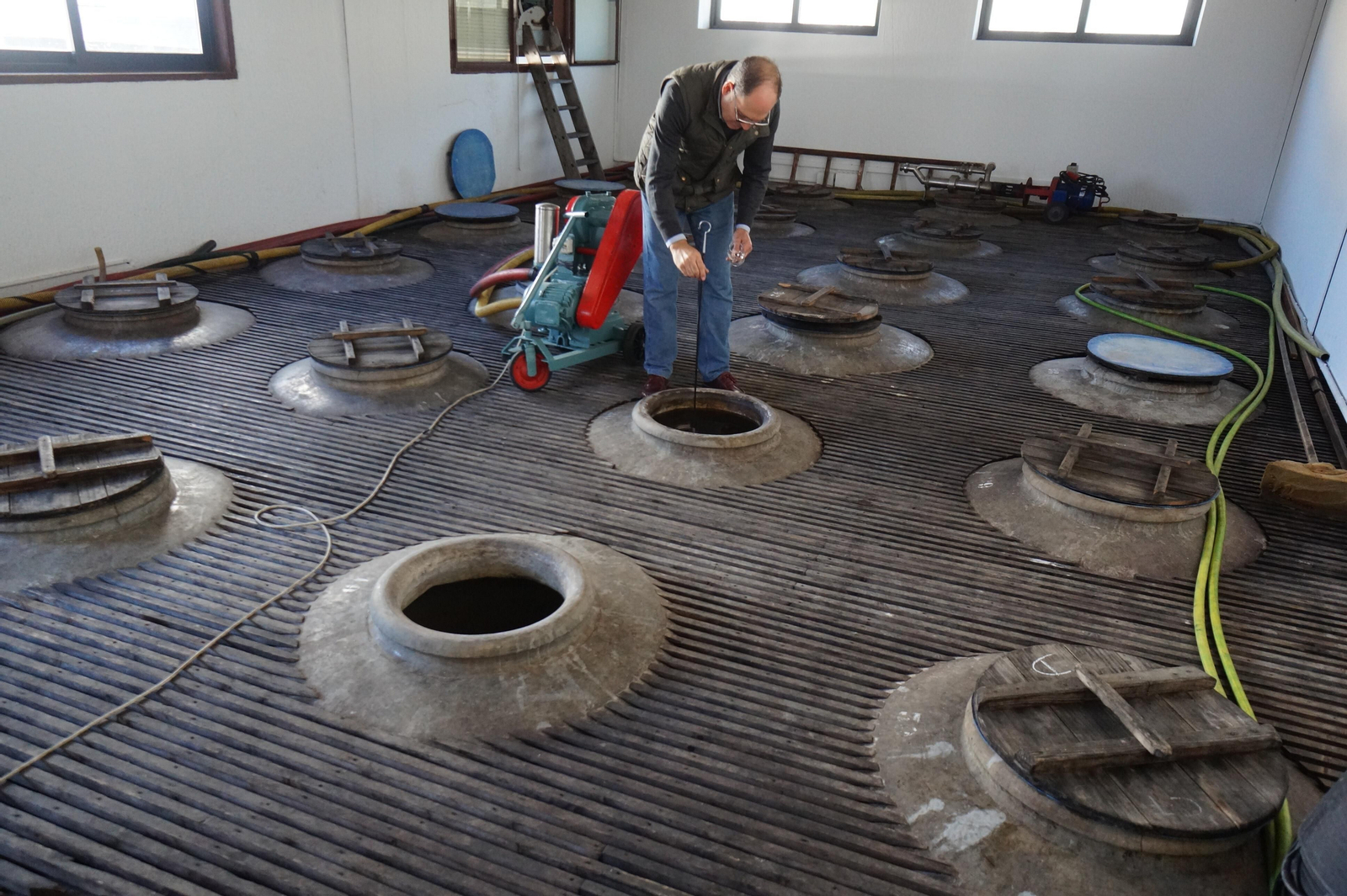 Un recorrido en fotografías por el vino nuevo de Moriles