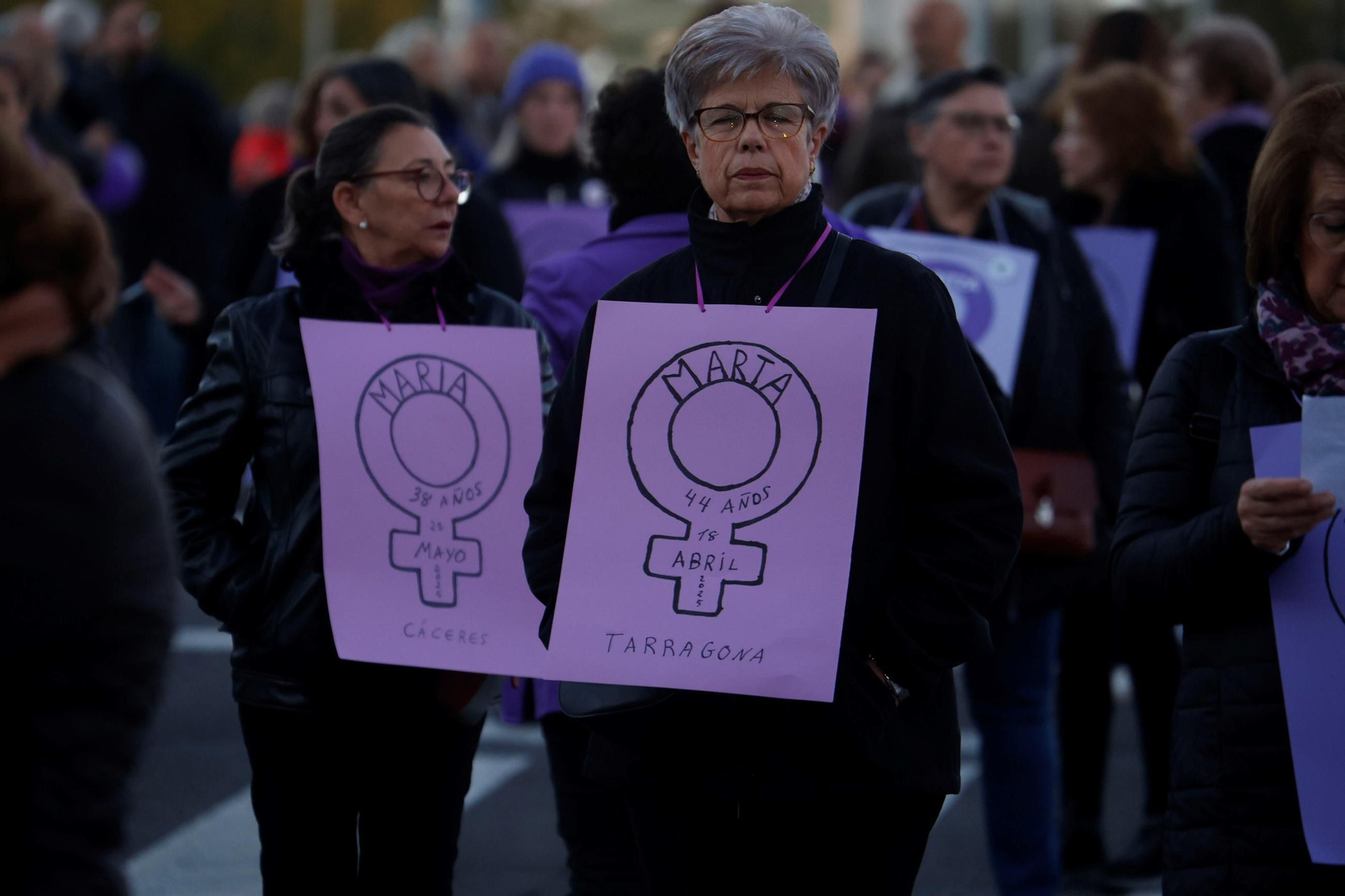 La manifestación del 25N en Córdoba