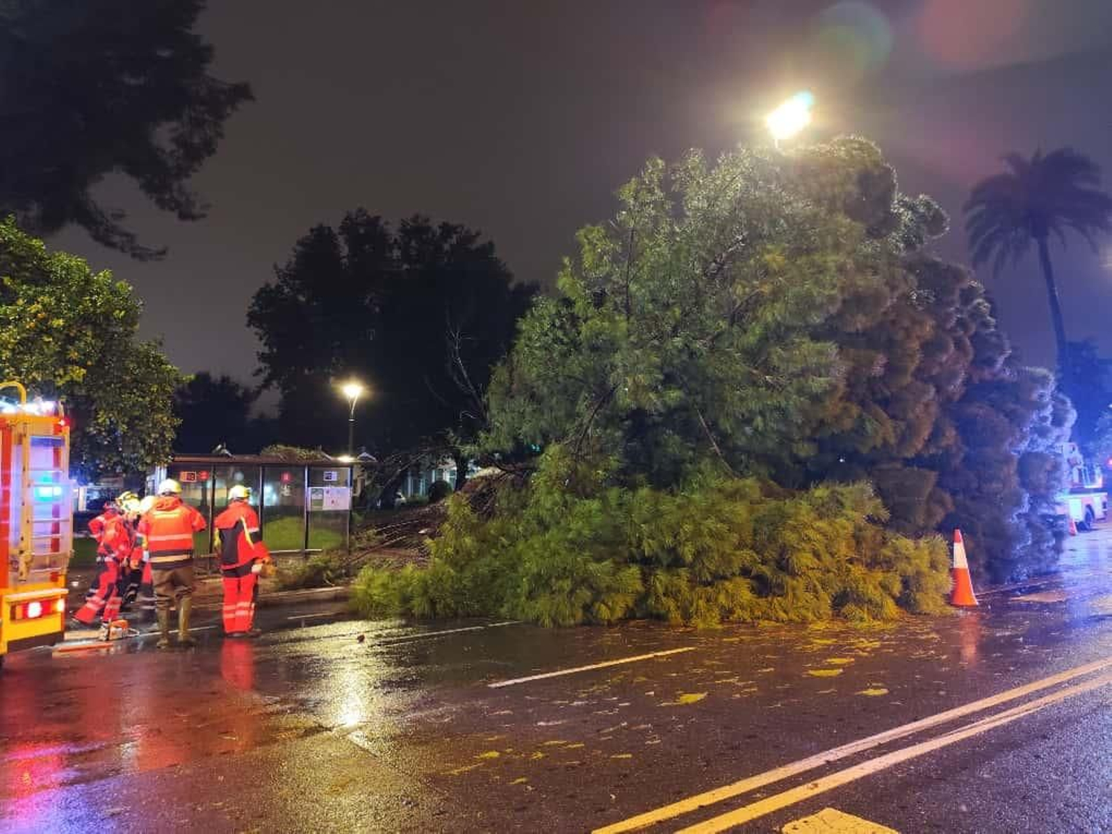 Un árbol caído corta dos carriles de la avenida del Corregidor de la capital cordobesa.
