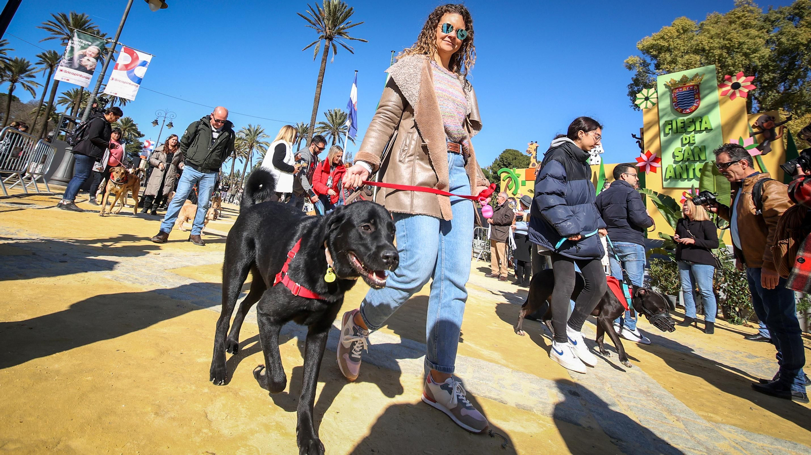 Búscate en San Antón de Jerez