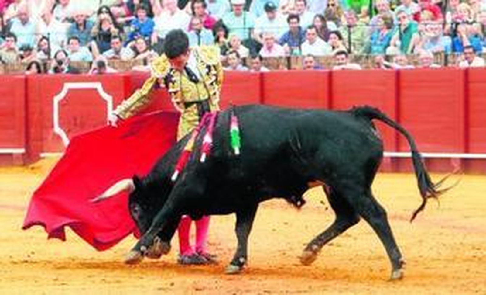 El novillero llerenense Tomás Campos, en una ceñida manoletina, dejó una gratísima impresión en la Maestranza sevillana.