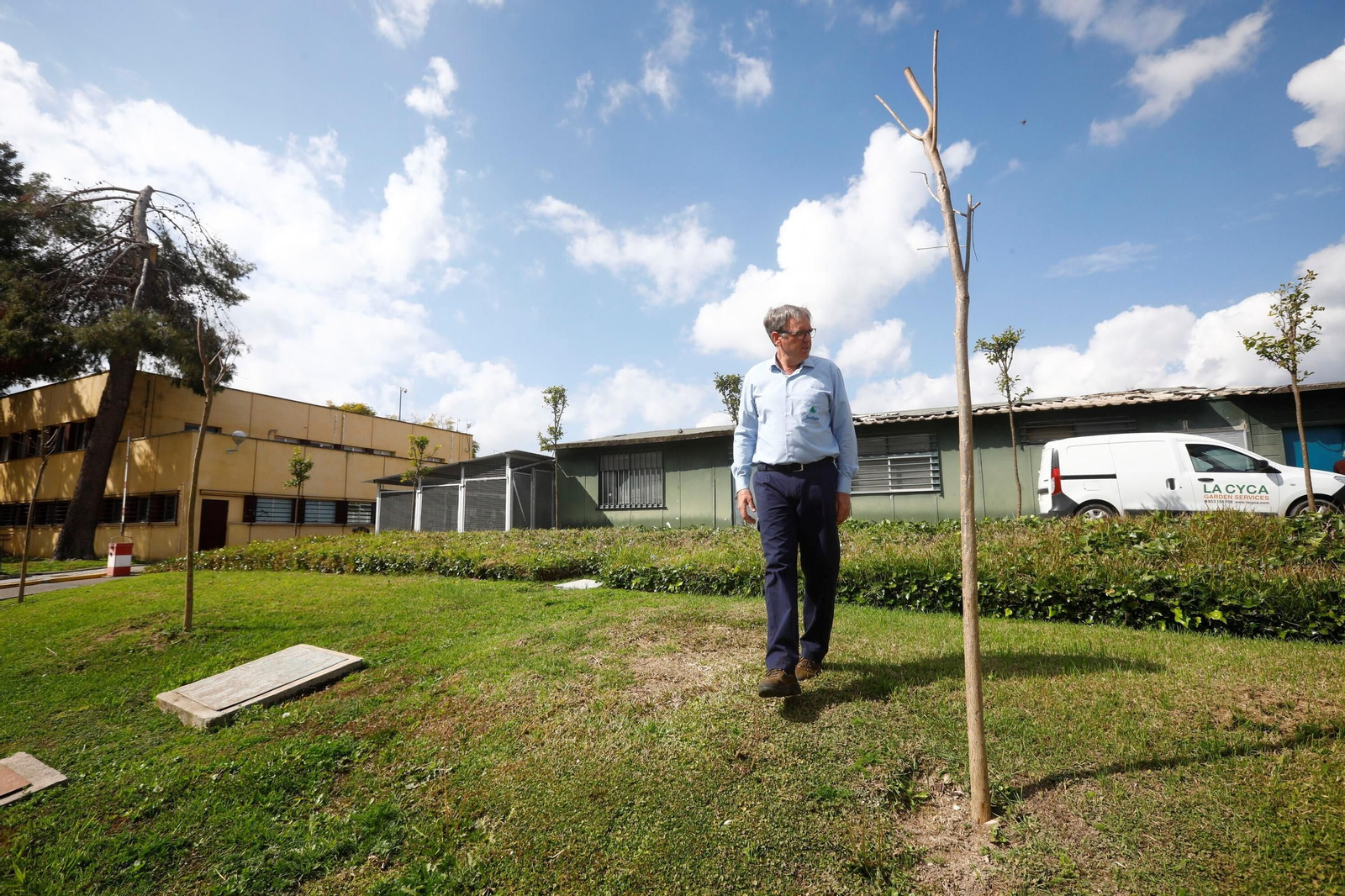 Las zonas verdes repobladas del Hospital Reina Sofía de Córdoba, en imágenes