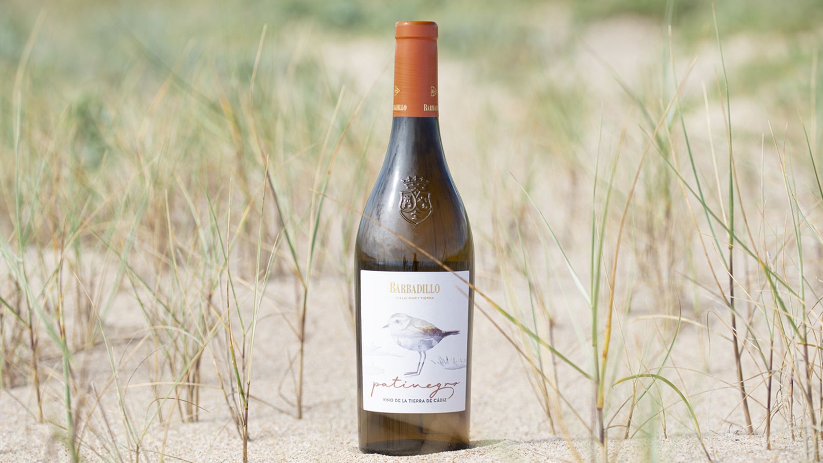 Uno de los vinos galardonados, Patinegro.