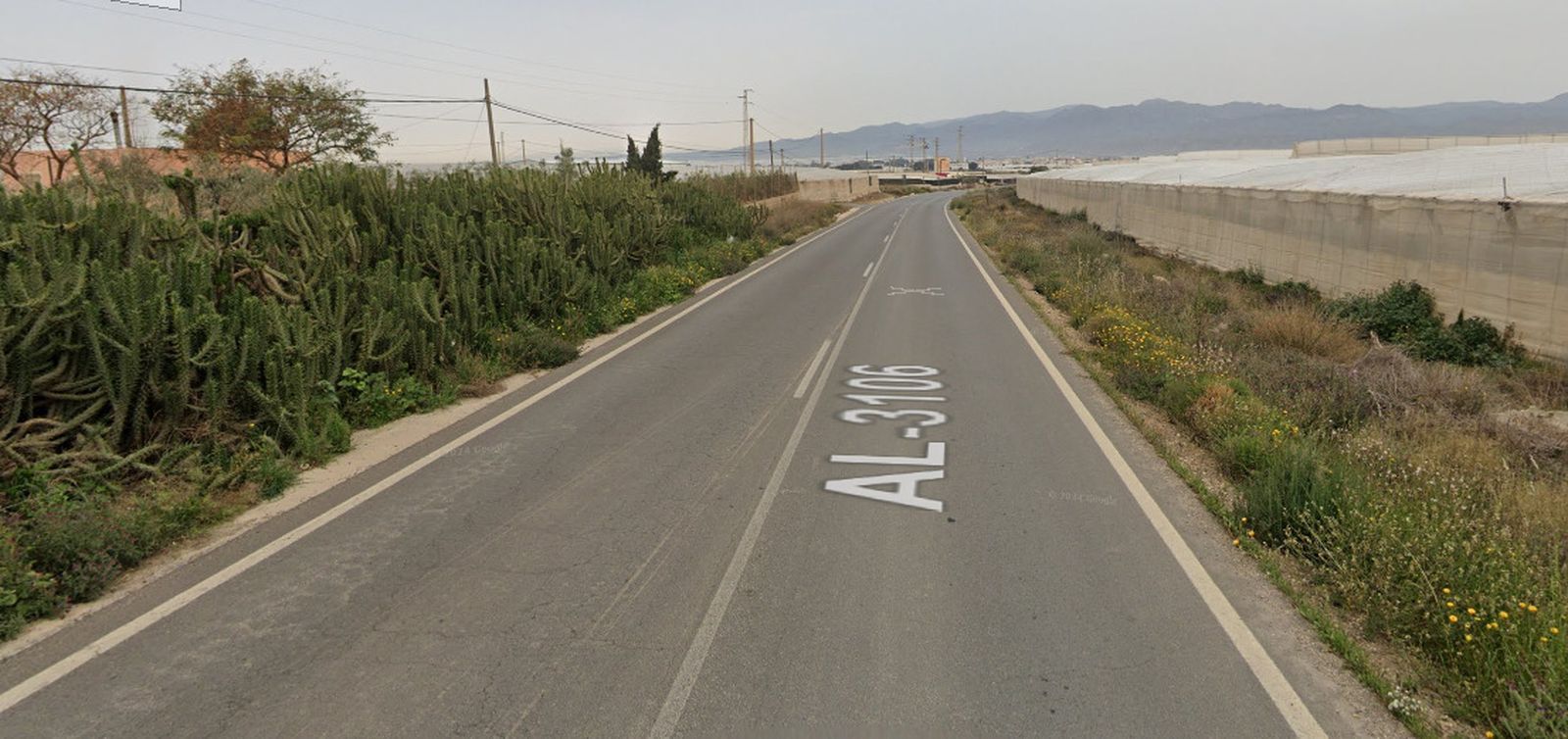 Tramo de la AL-3106 en Níjar.