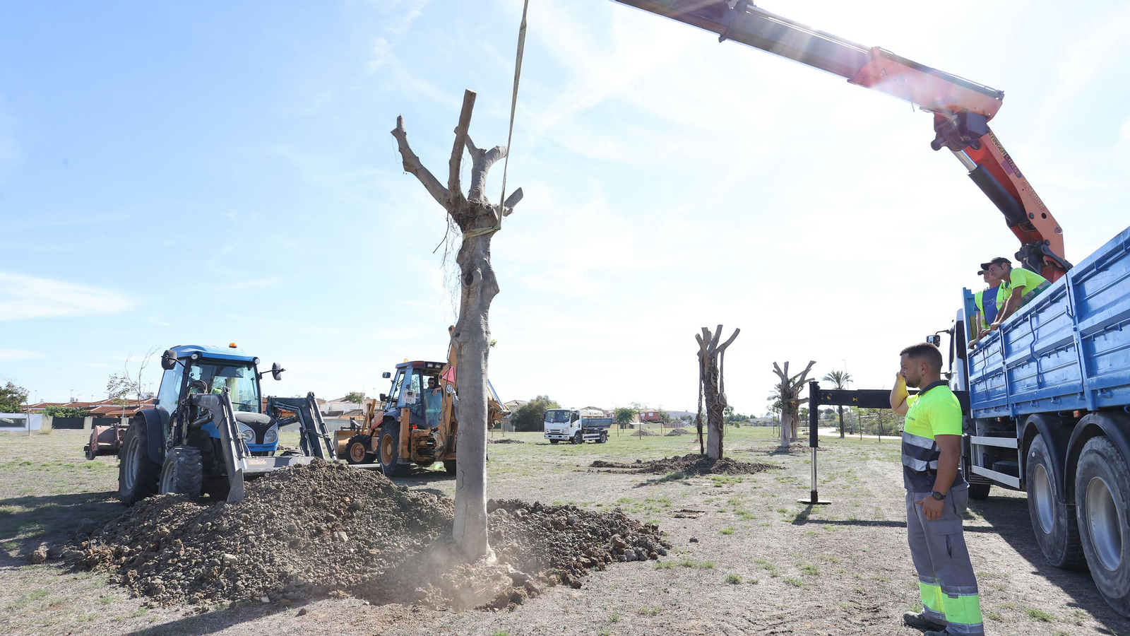Traslado de los árboles de Chapín