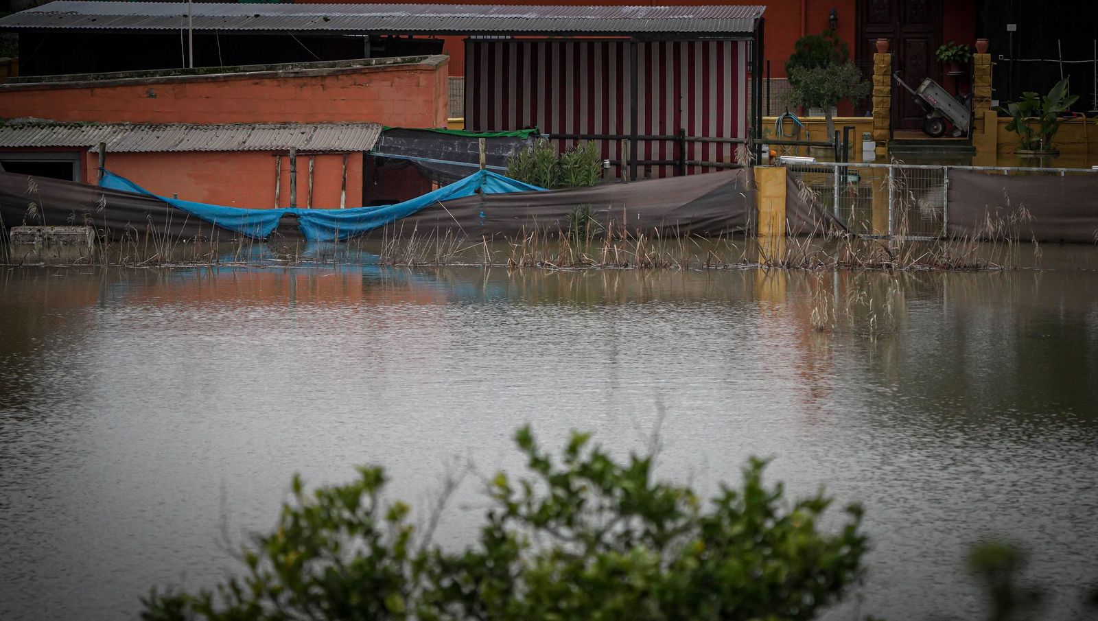 Imágenes de las zonas afectadas por la crecida del rio Guadalete en Jerez