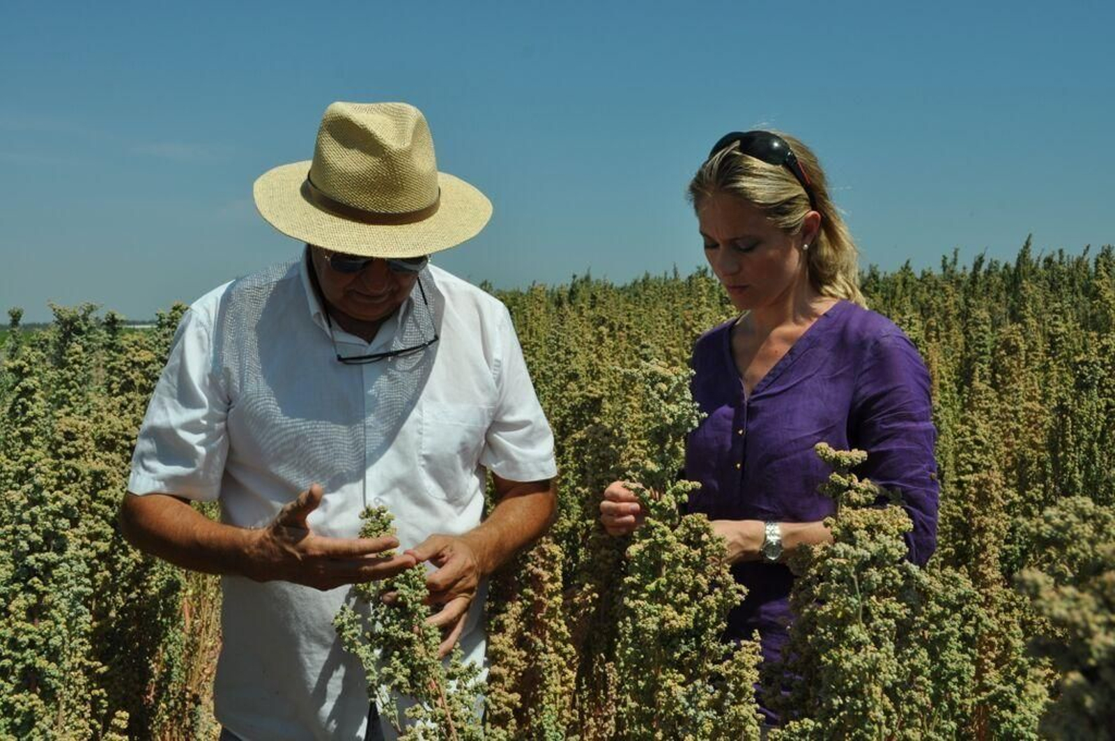 El turismo rural y el gastronómico, nichos de empleo de futuro.