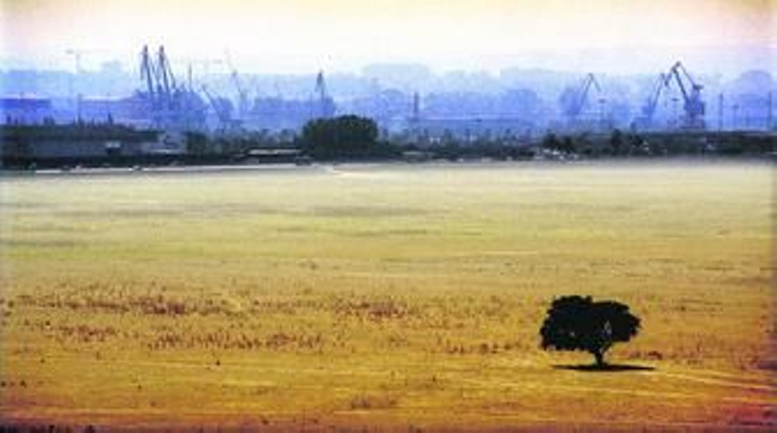 Los terrenos de la antigua dehesa de Tablada con el Puerto de Sevilla, al fondo.