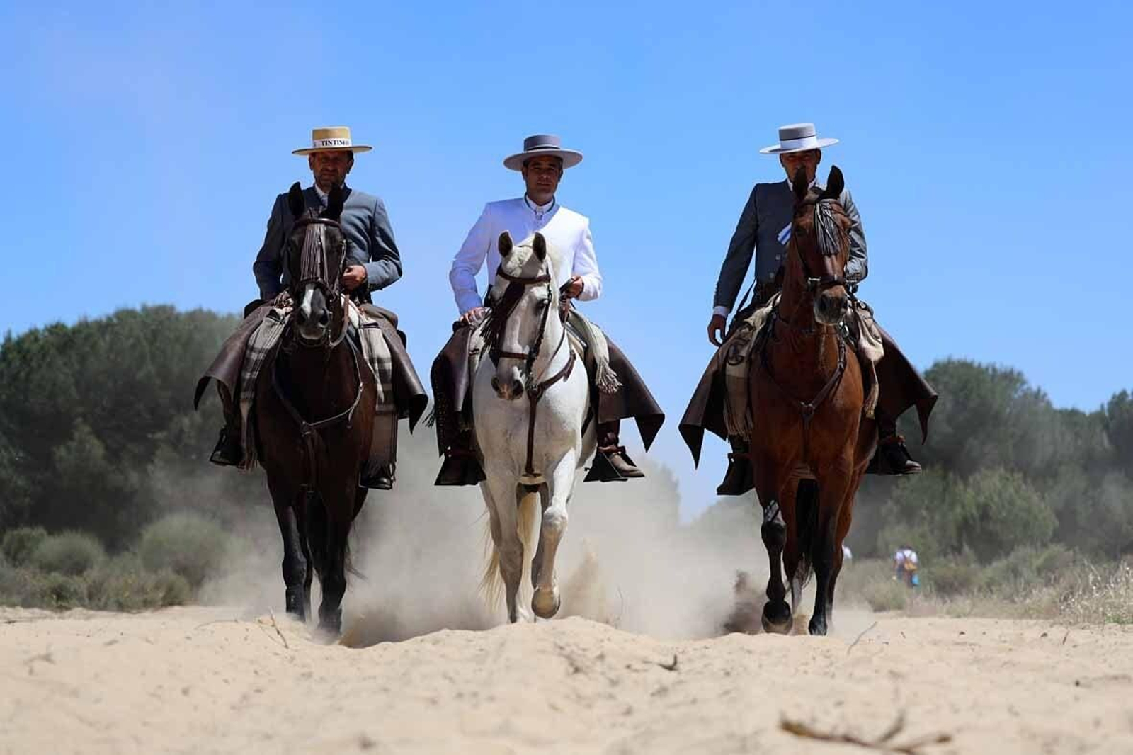 Las mejores imágenes de la Hermandad del Rocío de Huelva en el camino hacia El Rocío